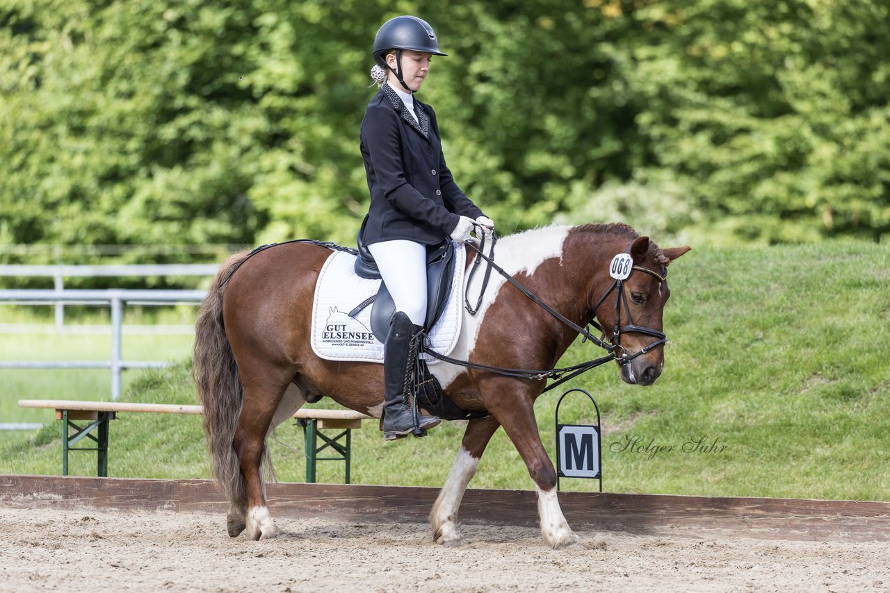 Bild 253 - Pony Akademie Turnier